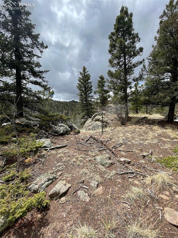 228 Alpine Drive Florissant CO 80816