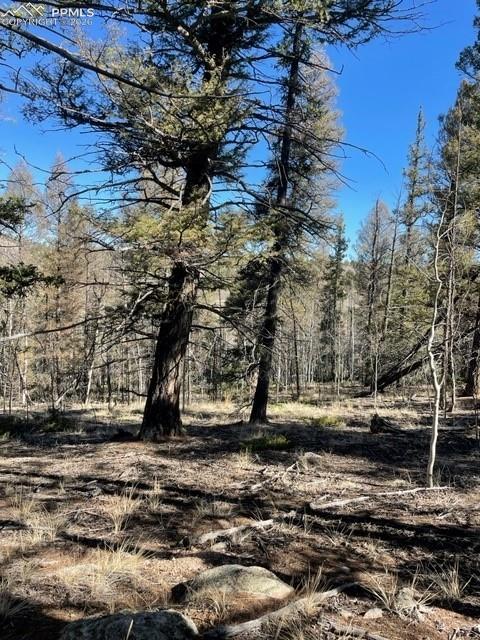 228 Alpine Drive Florissant CO 80816