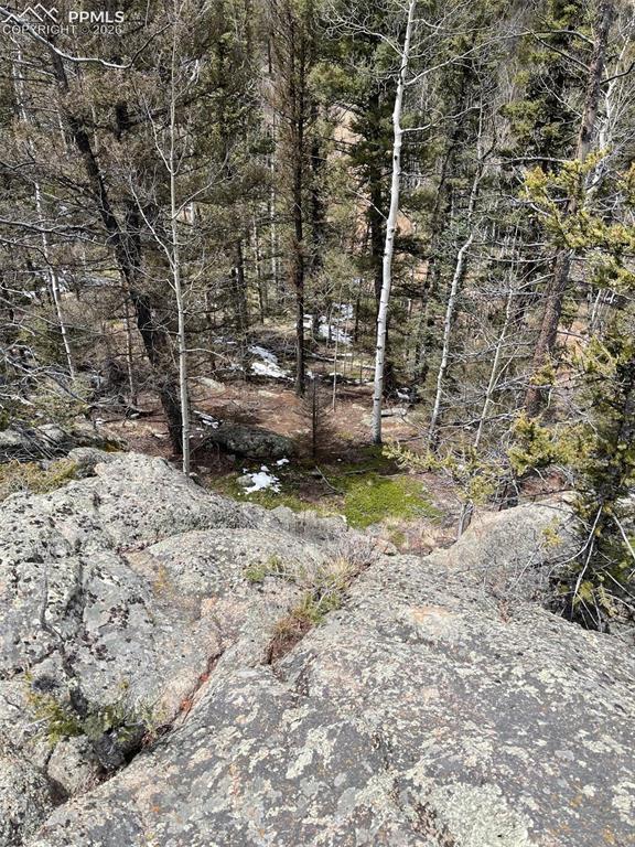 228 Alpine Drive Florissant CO 80816
