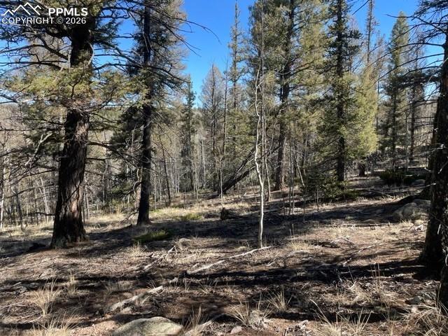 228 Alpine Drive Florissant CO 80816