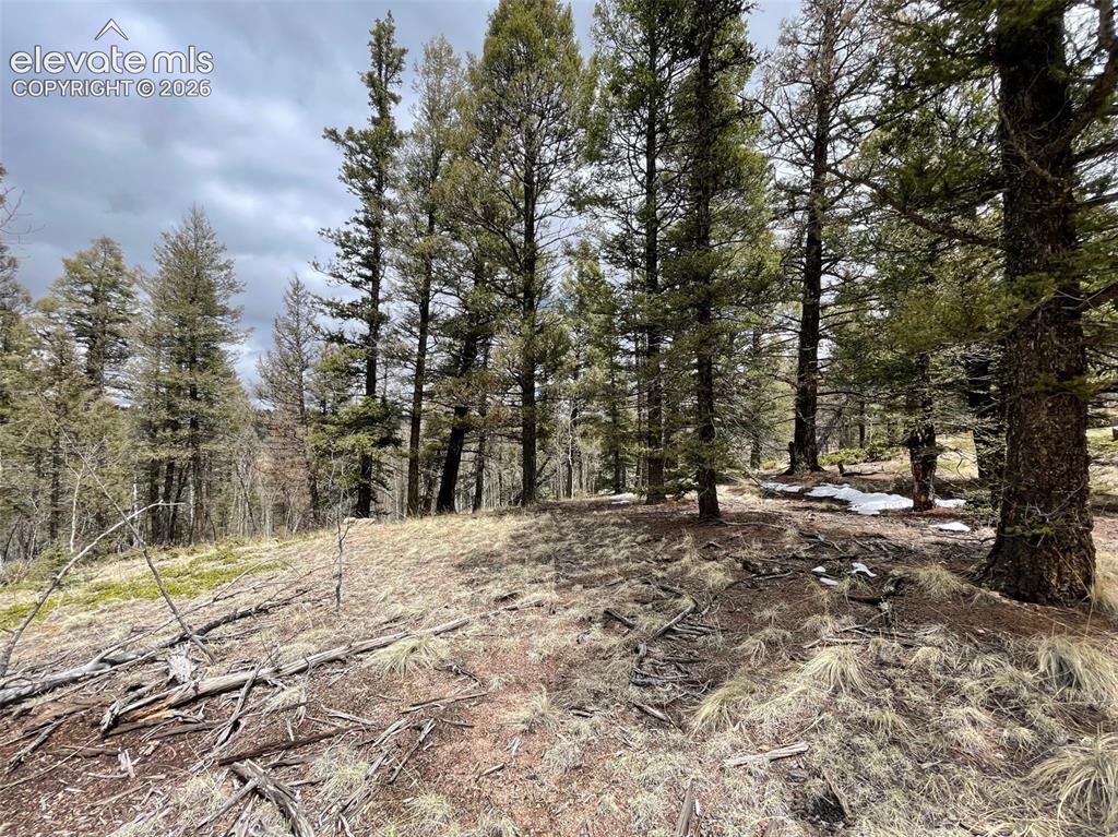 228 Alpine Drive Florissant CO 80816