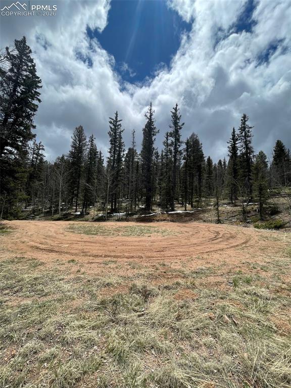 228 Alpine Drive Florissant CO 80816