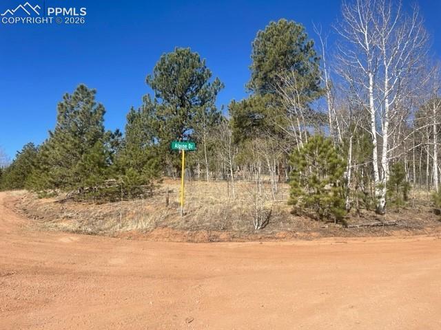 228 Alpine Drive Florissant CO 80816