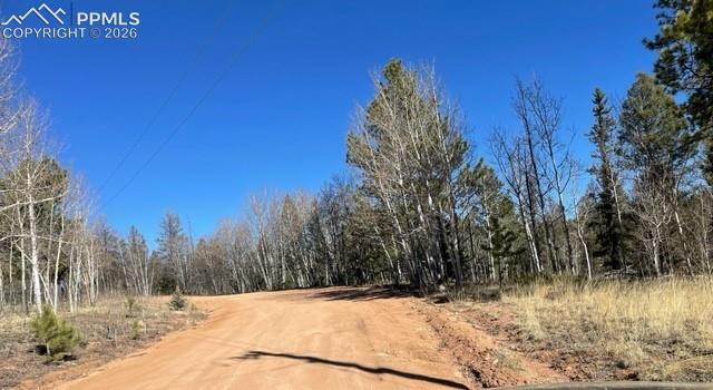 228 Alpine Drive Florissant CO 80816