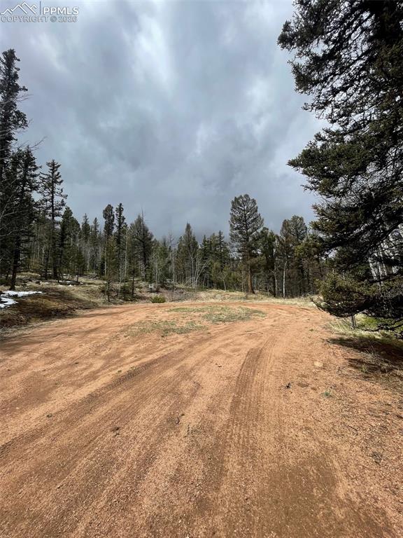 228 Alpine Drive Florissant CO 80816
