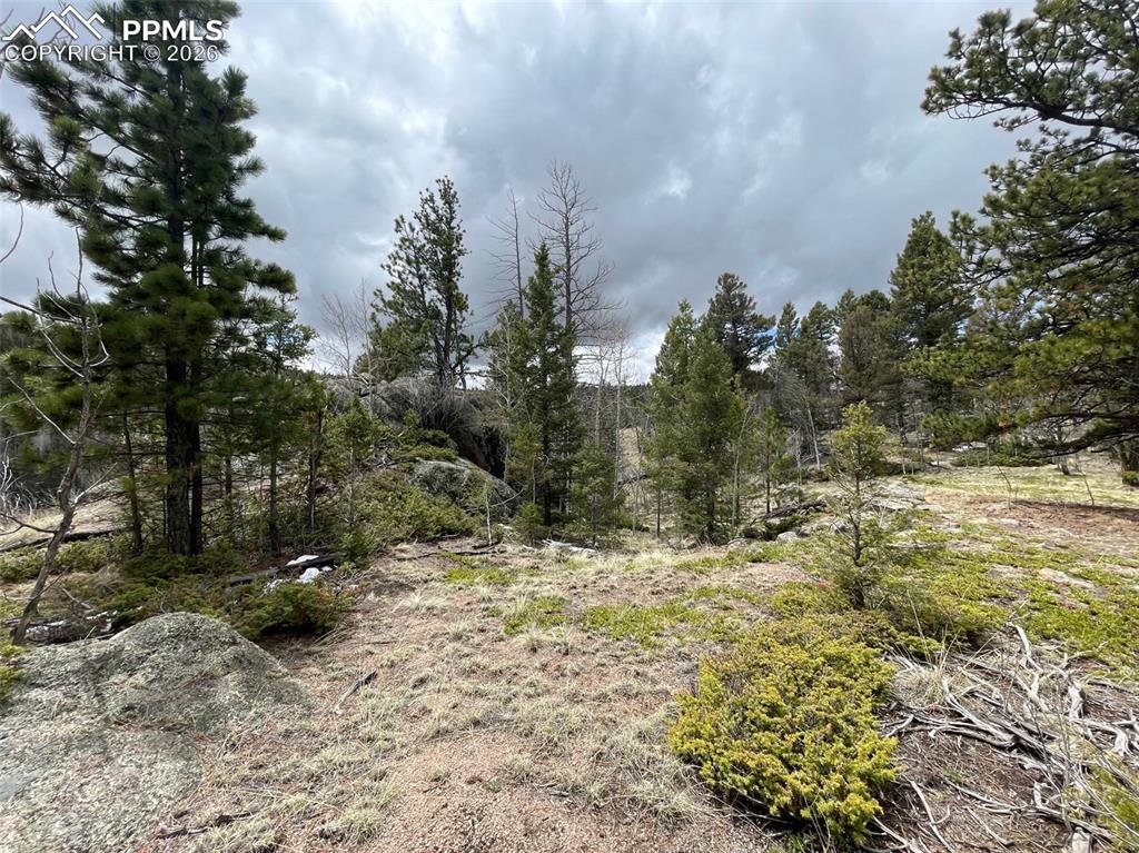 228 Alpine Drive Florissant CO 80816
