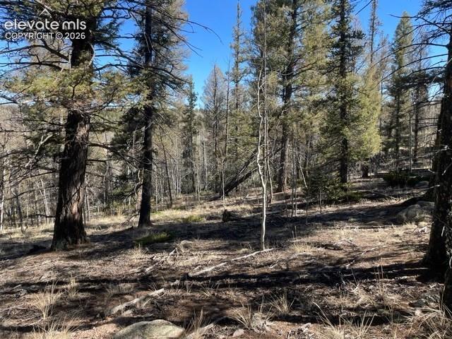 228 Alpine Drive Florissant CO 80816