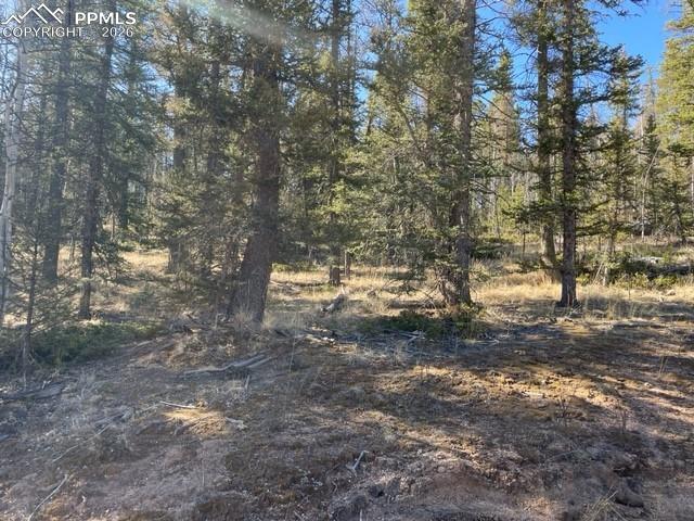 228 Alpine Drive Florissant CO 80816