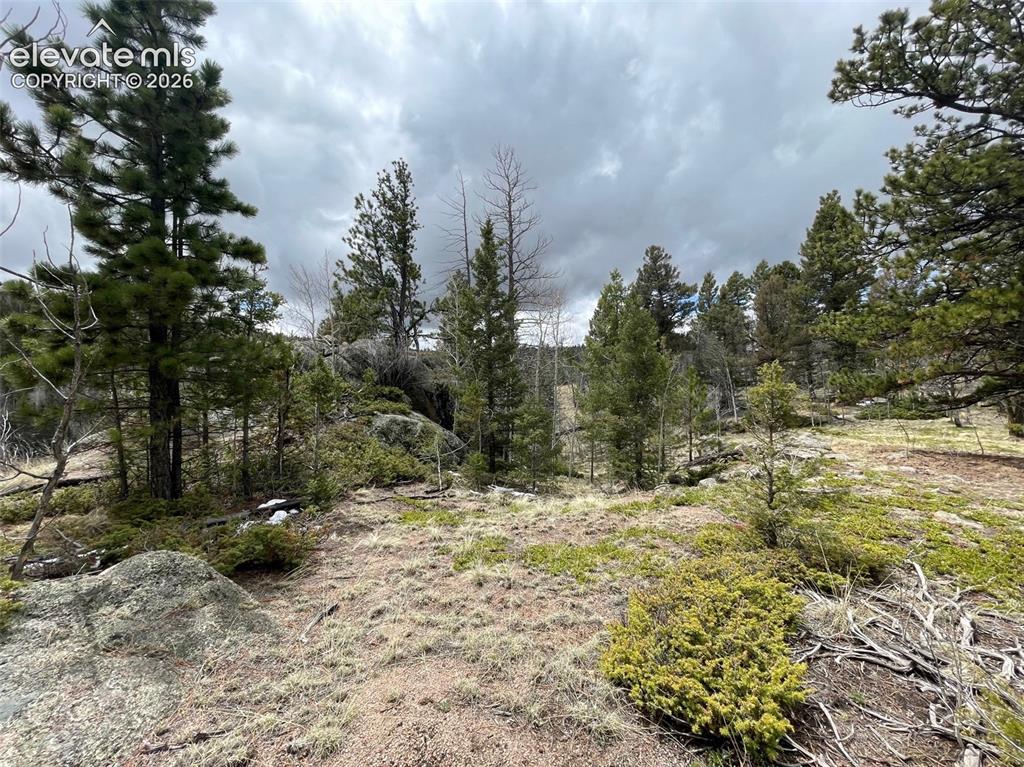 228 Alpine Drive Florissant CO 80816