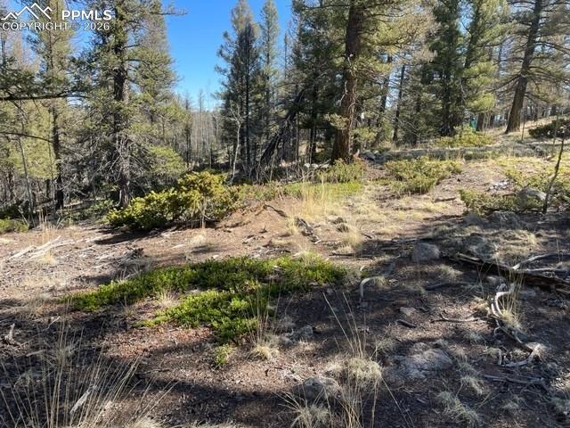 228 Alpine Drive Florissant CO 80816