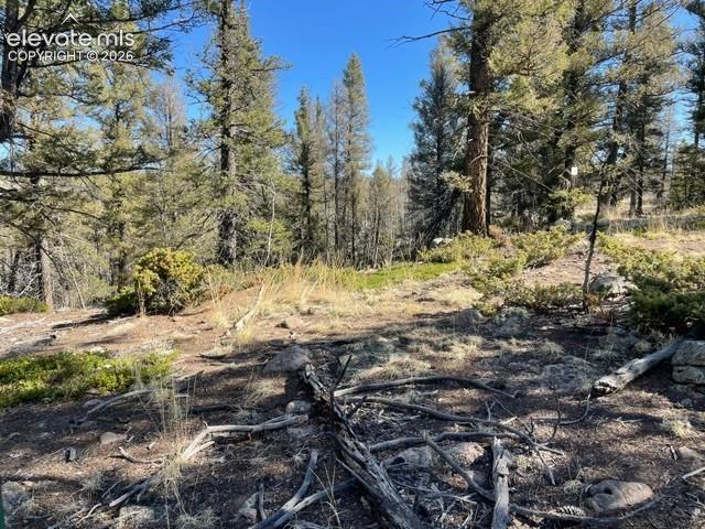 228 Alpine Drive Florissant CO 80816