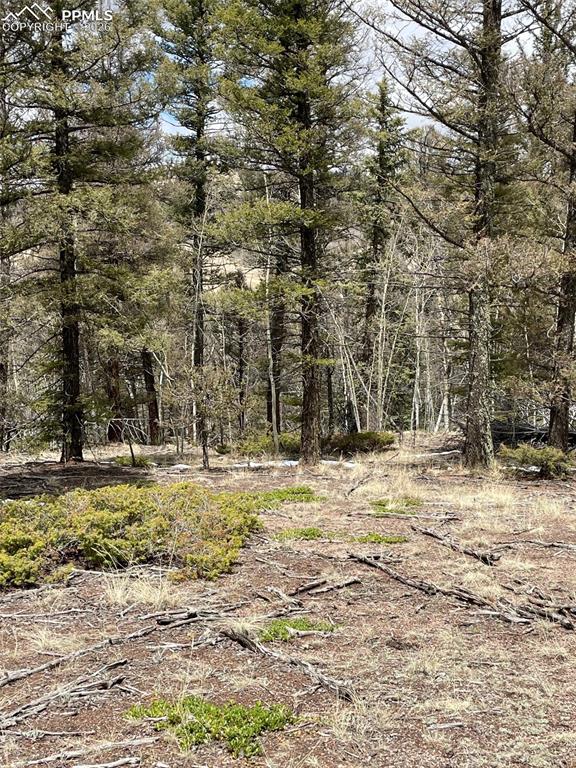 228 Alpine Drive Florissant CO 80816