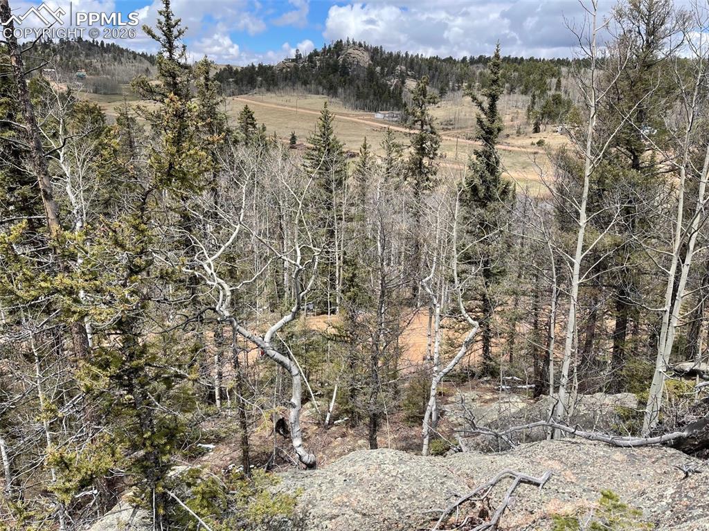 228 Alpine Drive Florissant CO 80816