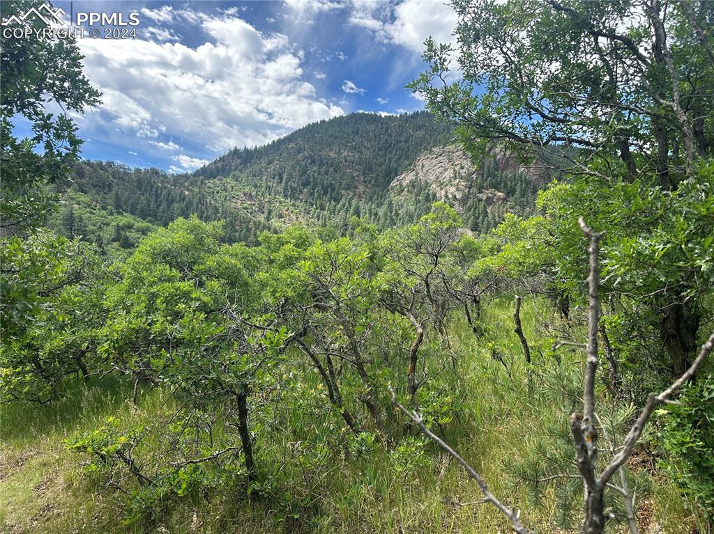 110 Crystal Park Road Manitou Springs CO 80829