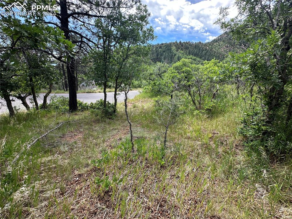 110 Crystal Park Road Manitou Springs CO 80829