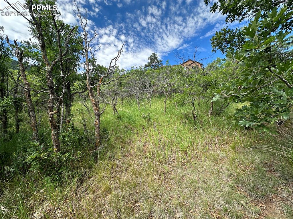 110 Crystal Park Road Manitou Springs CO 80829