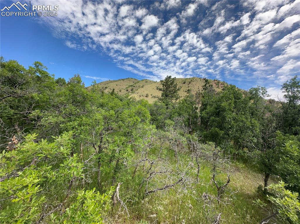 110 Crystal Park Road Manitou Springs CO 80829