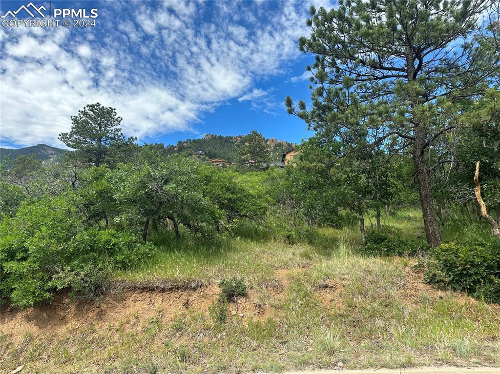 110 Crystal Park Road Manitou Springs CO 80829