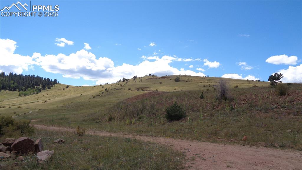 W Womack Street Cripple Creek CO 80813