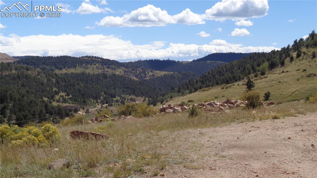 W Womack Street Cripple Creek CO 80813