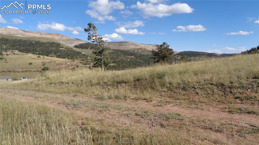 W Womack Street Cripple Creek CO 80813
