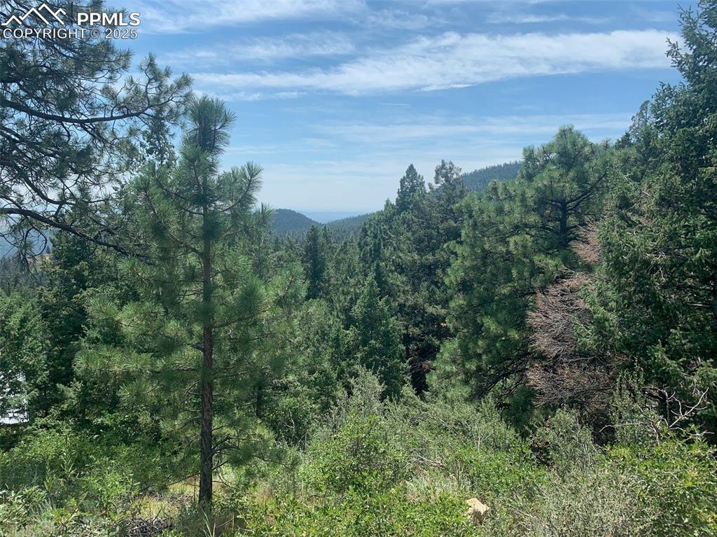 3435 Little Turkey Creek Road Colorado Springs CO 80926
