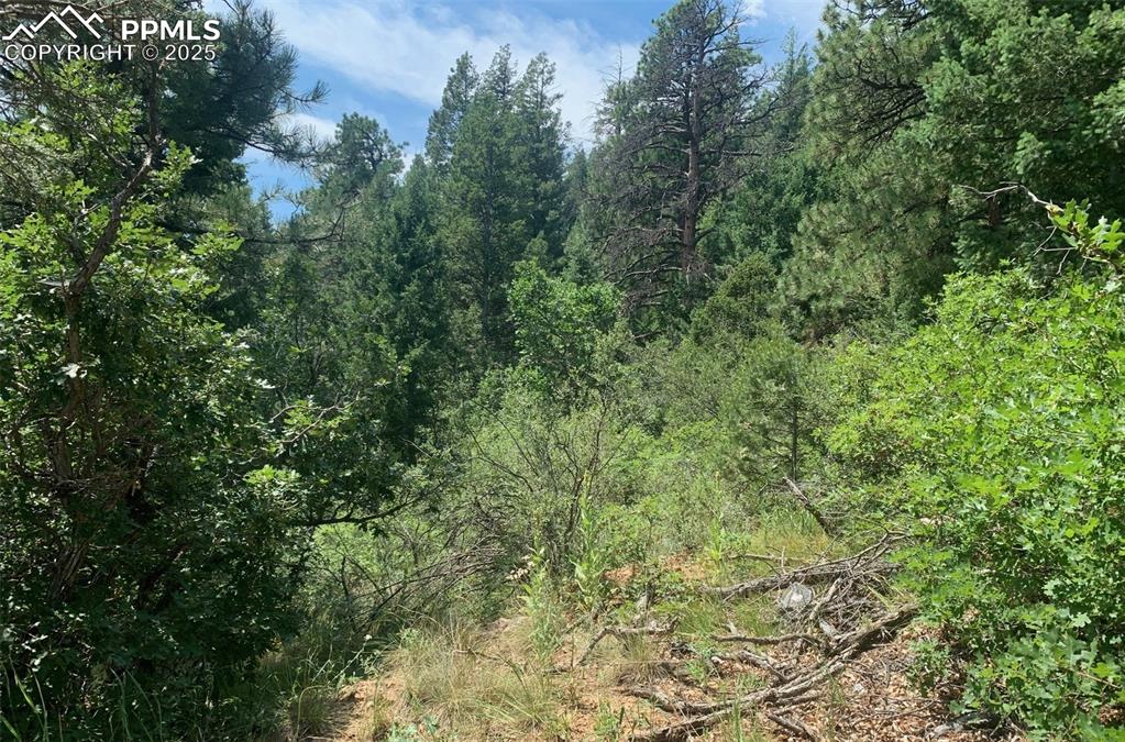 3435 Little Turkey Creek Road Colorado Springs CO 80926