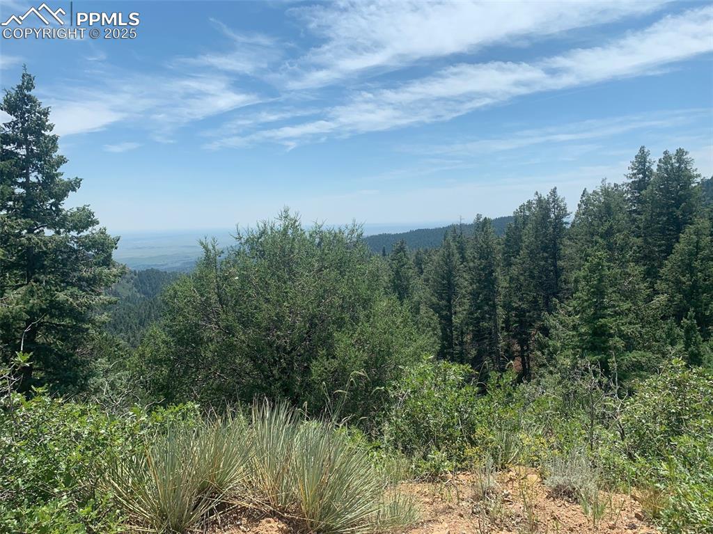 3435 Little Turkey Creek Road Colorado Springs CO 80926