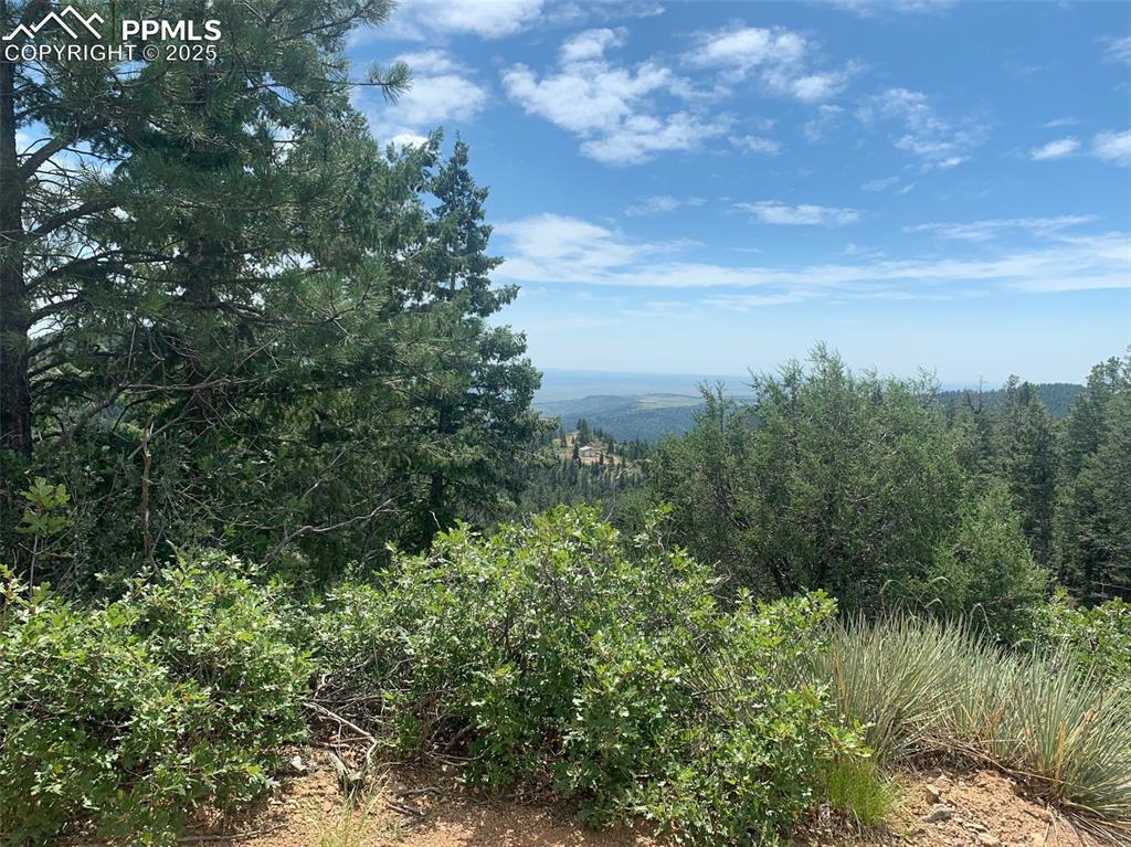 3435 Little Turkey Creek Road Colorado Springs CO 80926