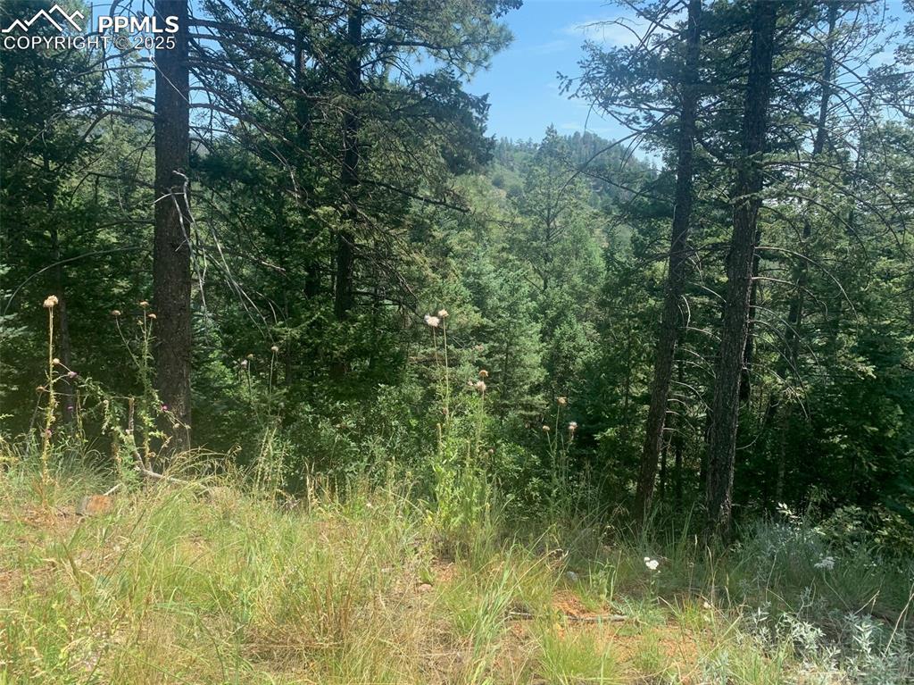 3435 Little Turkey Creek Road Colorado Springs CO 80926
