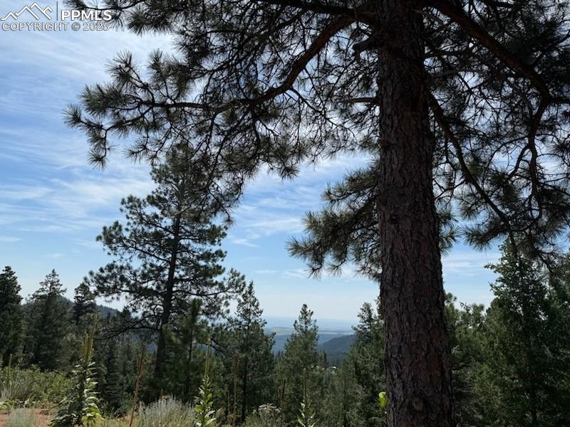 3435 Little Turkey Creek Road Colorado Springs CO 80926