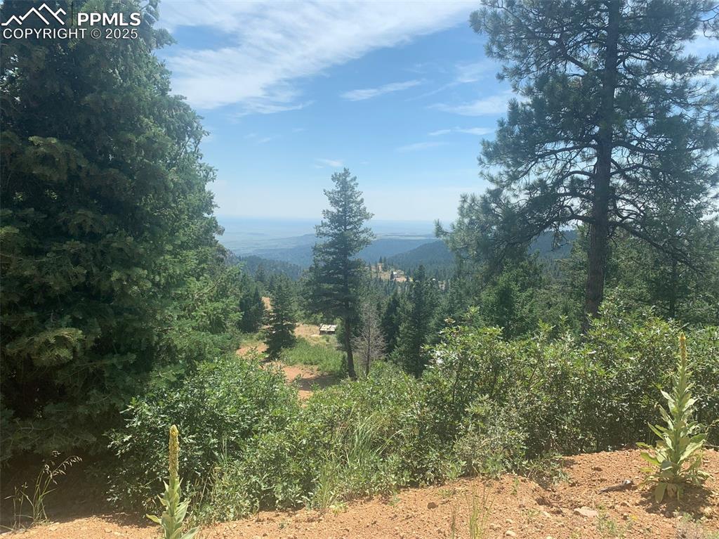 3435 Little Turkey Creek Road Colorado Springs CO 80926