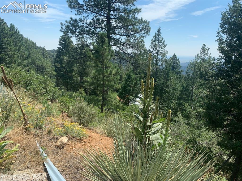3435 Little Turkey Creek Road Colorado Springs CO 80926