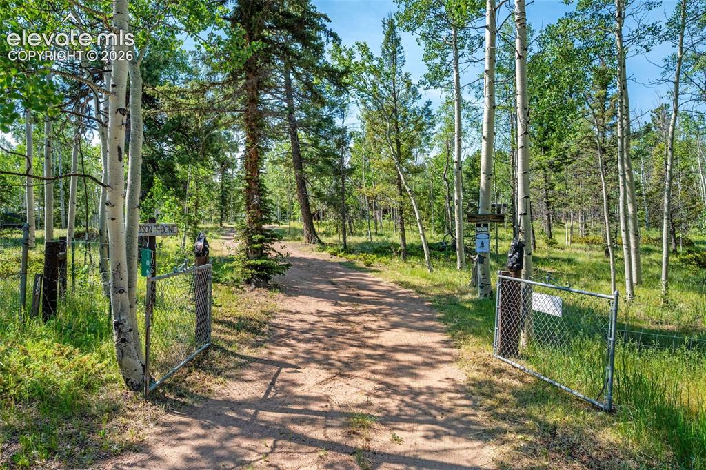 106 Forest Court Guffey CO 80820