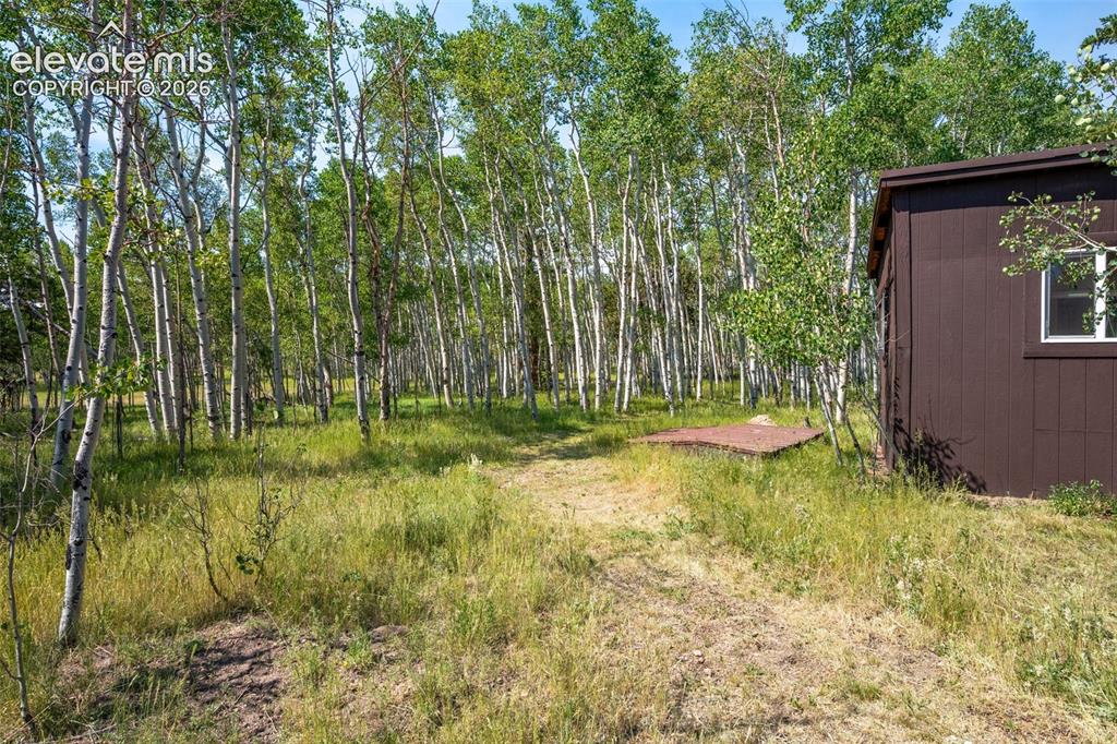 106 Forest Court Guffey CO 80820