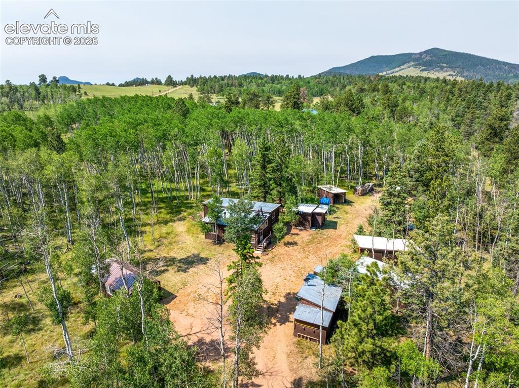 106 Forest Court Guffey CO 80820