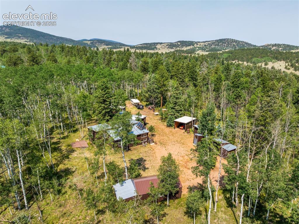 106 Forest Court Guffey CO 80820