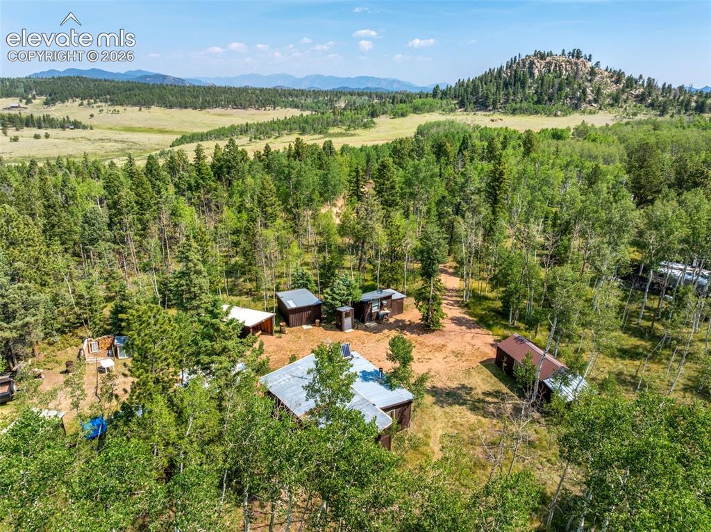 106 Forest Court Guffey CO 80820