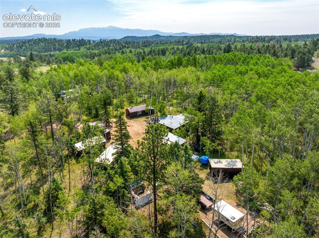 106 Forest Court Guffey CO 80820