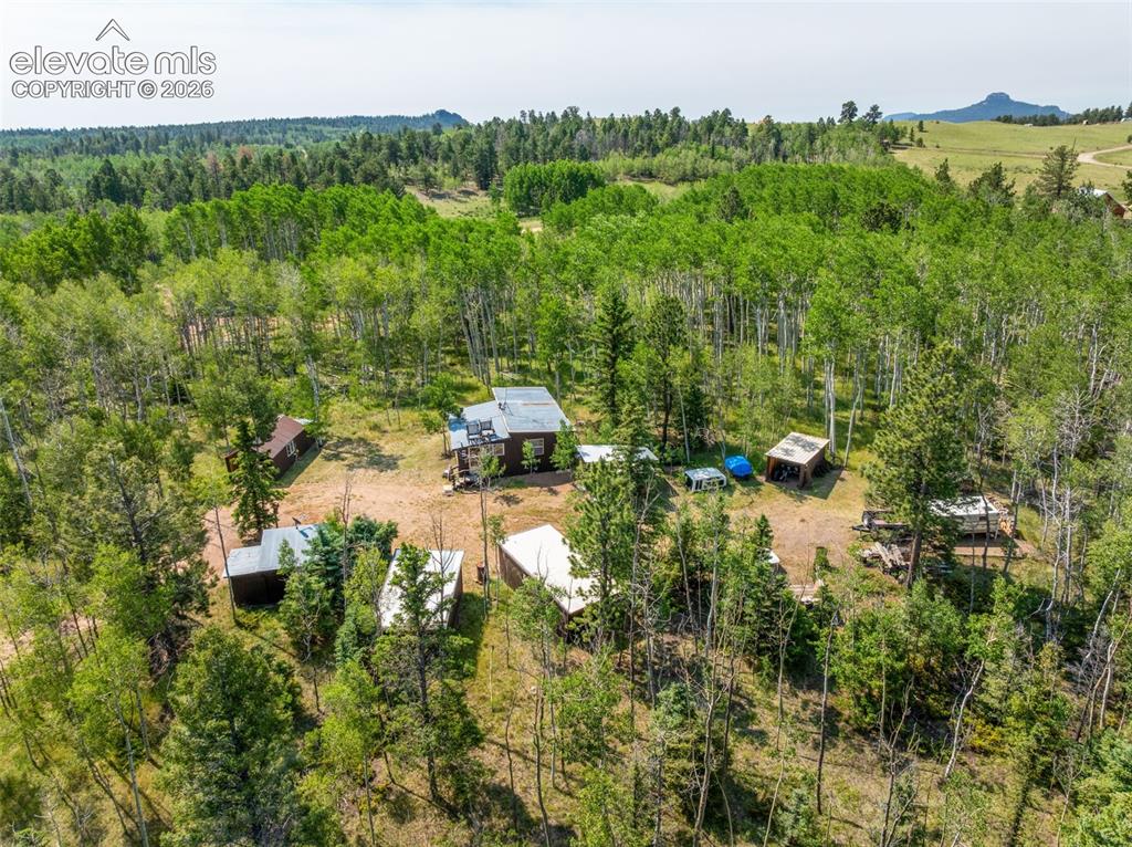 106 Forest Court Guffey CO 80820