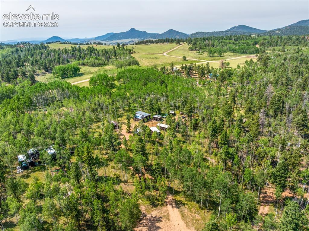 106 Forest Court Guffey CO 80820