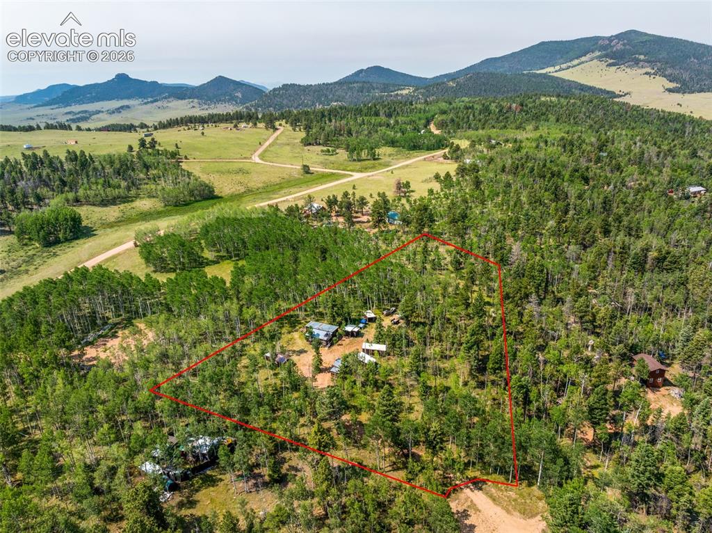 106 Forest Court Guffey CO 80820