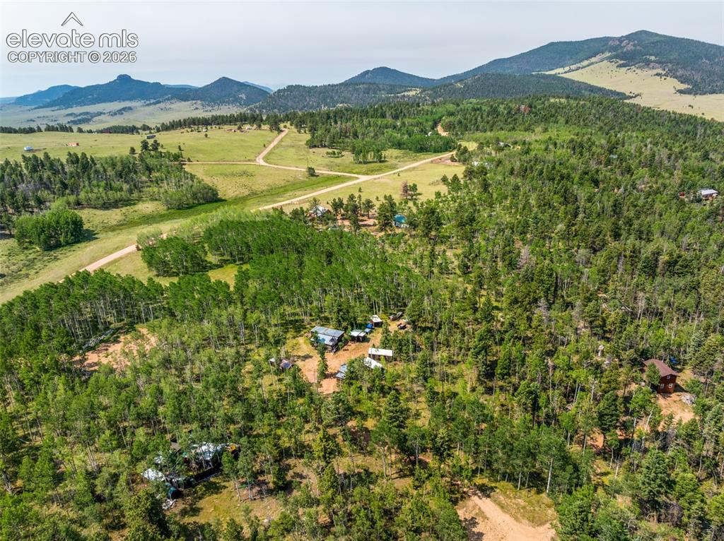 106 Forest Court Guffey CO 80820