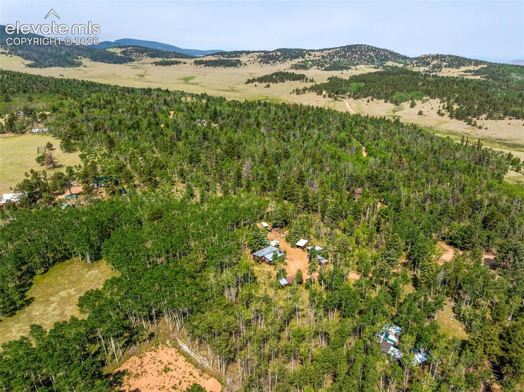 106 Forest Court Guffey CO 80820