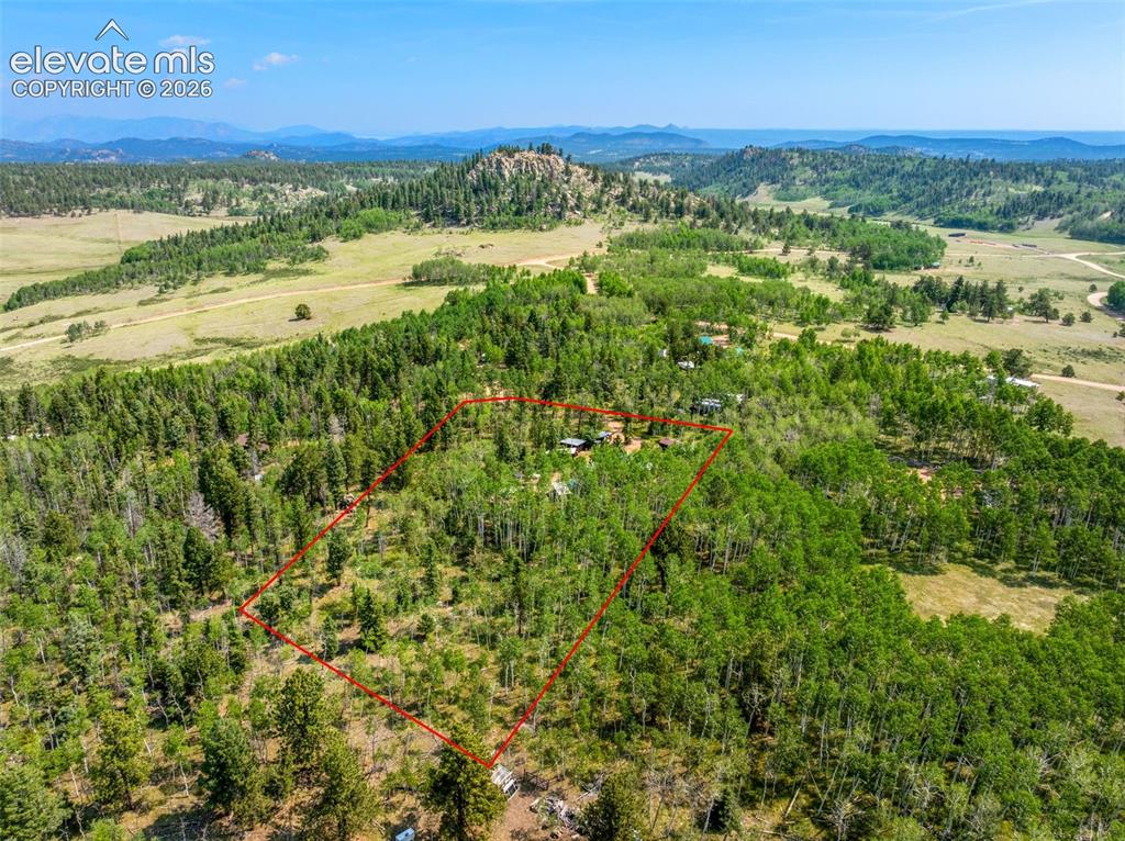 106 Forest Court Guffey CO 80820