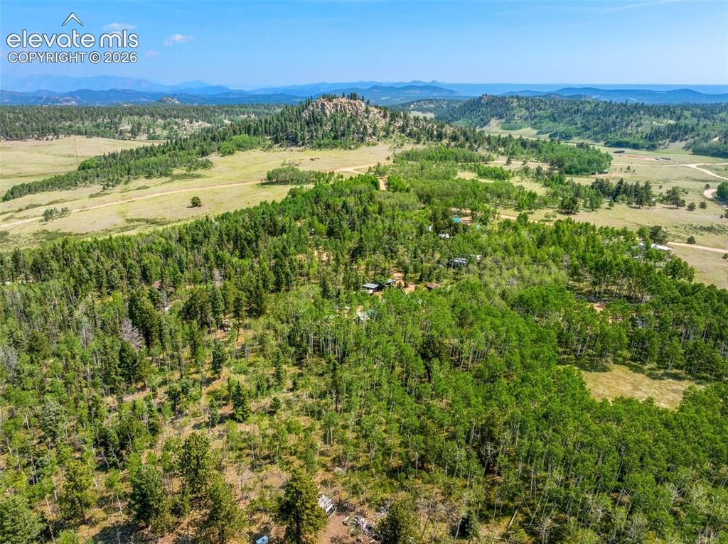 106 Forest Court Guffey CO 80820