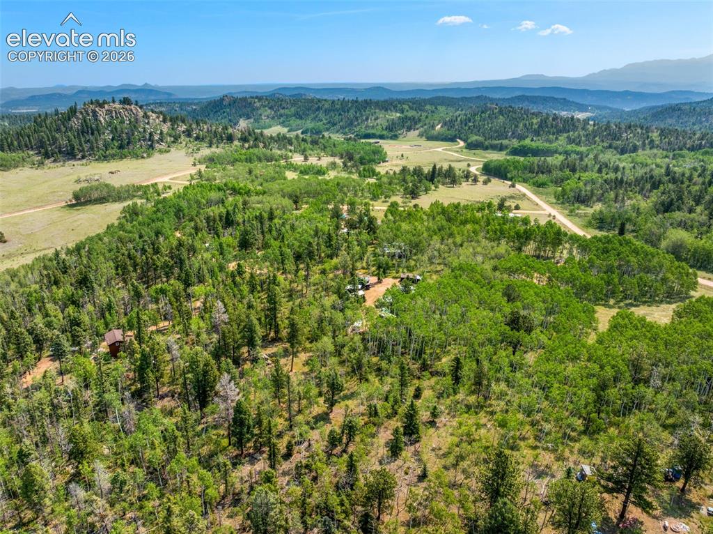 106 Forest Court Guffey CO 80820
