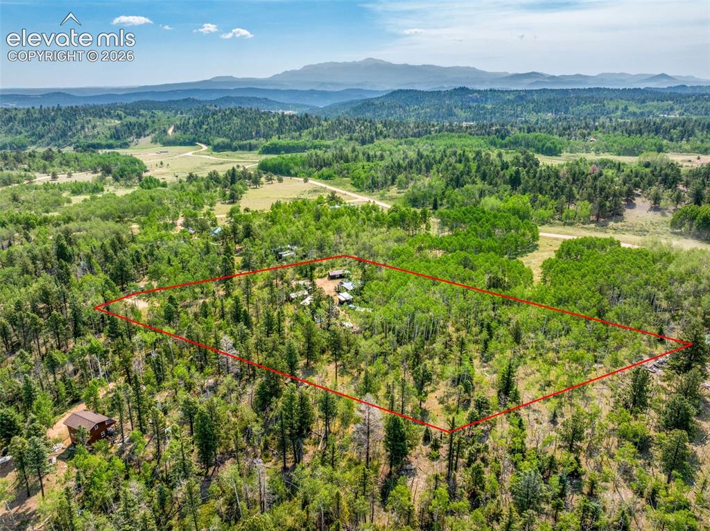106 Forest Court Guffey CO 80820