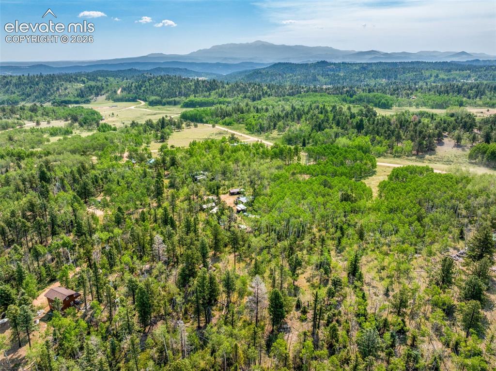 106 Forest Court Guffey CO 80820