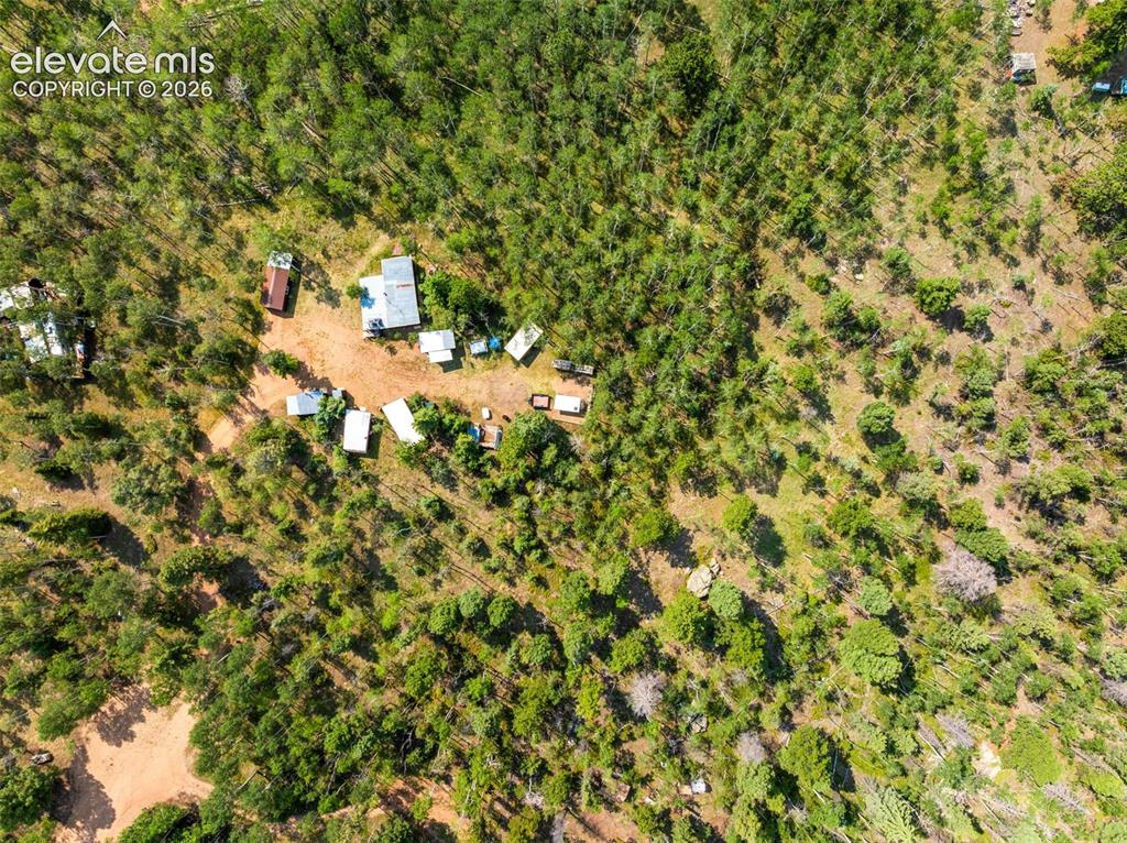 106 Forest Court Guffey CO 80820